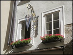 Window Boxes and Store Sign