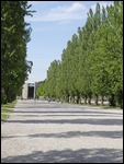 Main Camp Road