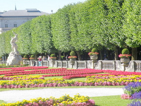 Flowers and Hedge Row at Mirabell Palace