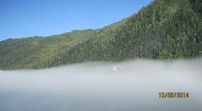 The fog rolls in