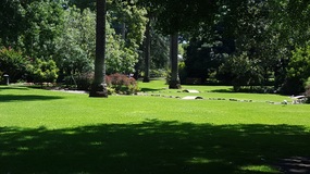 Albury botanic gardens