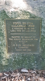 Lone pine plaque