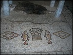Tabgha, Byzantine Mosaic