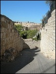 Palm Sunday Road