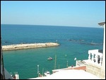 Jaffa Port