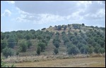 Sardis, Turkey