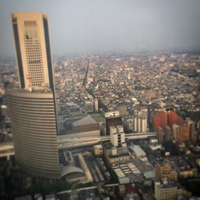 Room with a View