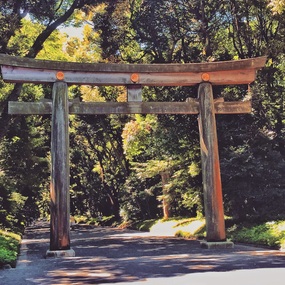 Largest torii in Japan, made from cedar trunks