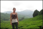 Sungai Palas Tea Plantation