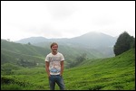 Sungai Palas Tea Plantation