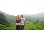 Sungai Palas Tea Plantation