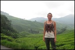 Sungai Palas Tea Plantation