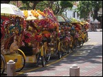 Trishaw Stop