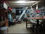 Ali's Nest