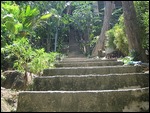 Viewpoint Stairway