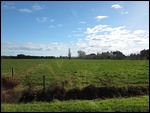 SH1