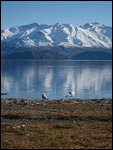 Lake Wanaka