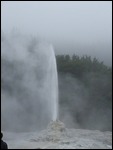 Lady Knox Geyser