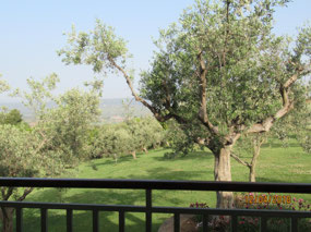 Morning view from our hotel room, very peaceful