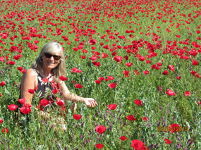 Incredible field of poppies