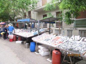 Monday morning market, fish table
