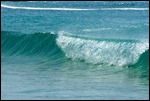 Mt. Irvine Reef Break