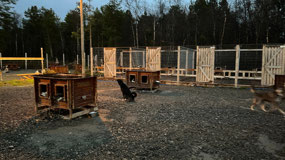 Holmen Husky Lodge