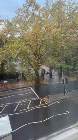 Hyde Park Black Lion Gate visible from our room