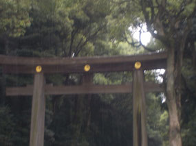 Torii Gate at Meiji Jingu shrine