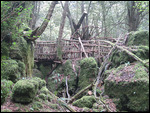 the bridge
