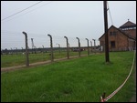 Birkenau