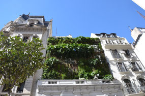 Hanging garden