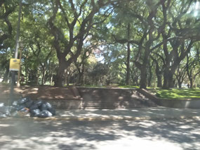 Beautiful leafy parks