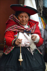 Spinning the wool