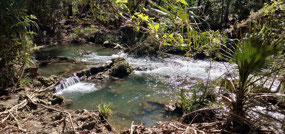 The creek at Lawn Hill