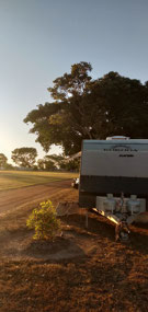 Early morning sun at Robbie Robinson Reserve