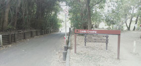 Cahills Crossing