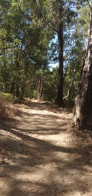 Along the river walk at Butterfly Gorge