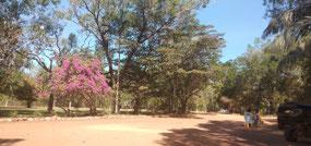 DD Park