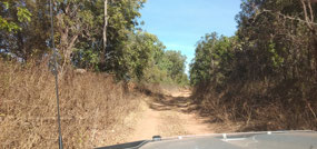 Track to Ooloo crossing