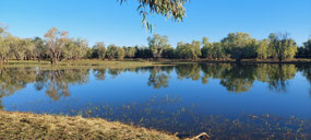 Lake Ellendale during the day