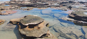 Rock pools
