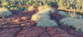 Red rock and spinifex