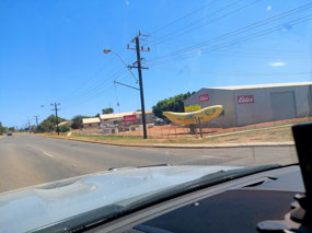 Carnarvon Big Banana