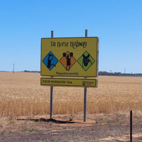 Tin Horse Highway