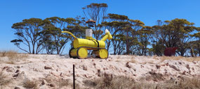 Tin Horse Highway