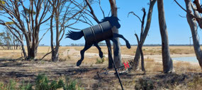 Tin Horse Highway