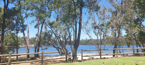 Lake Leschenaultia