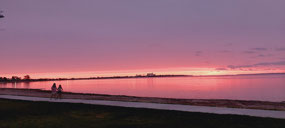 Last nights amazing sky in Ceduna