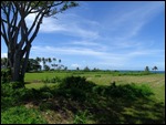 Tahiti Iti